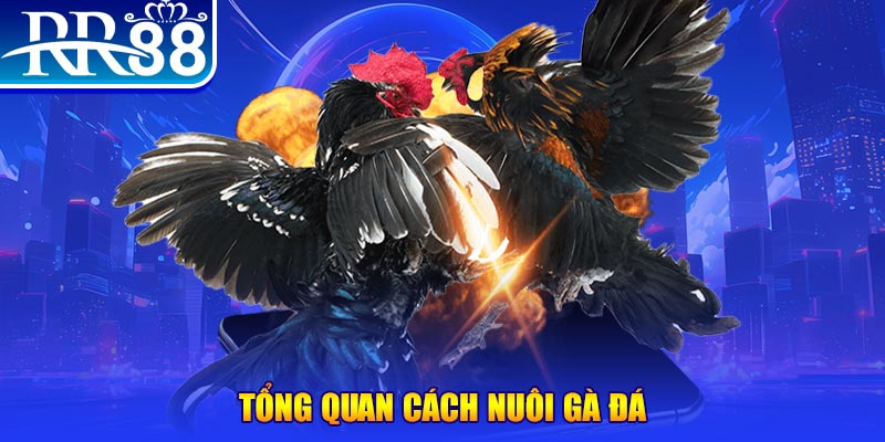 33win69 game nổ hũ rút tiền mặt là gì