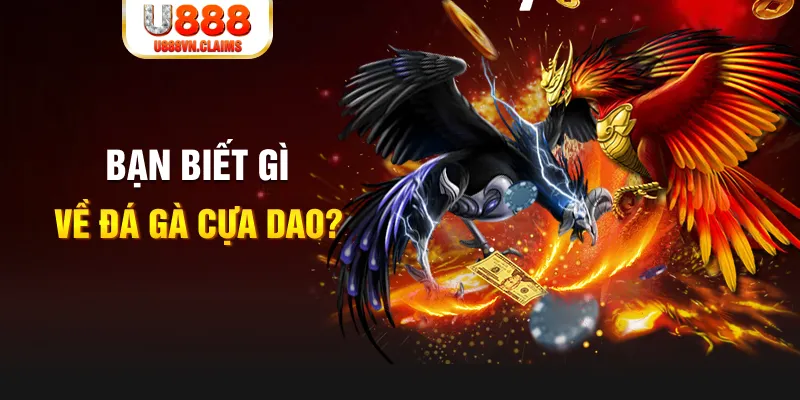 33win69 SW Xổ Số