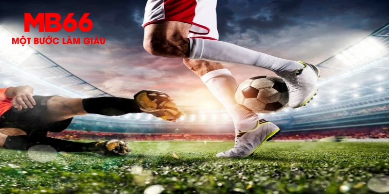 33win69 trực tiếp đá gà thomo