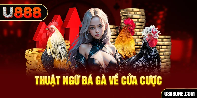 33win69 hơn cả bạn bè