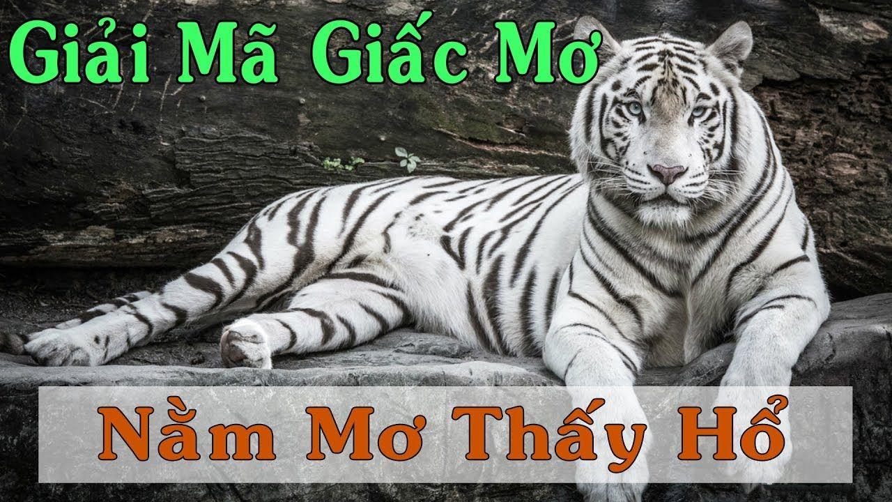33win69 nổ hũ là game gì
