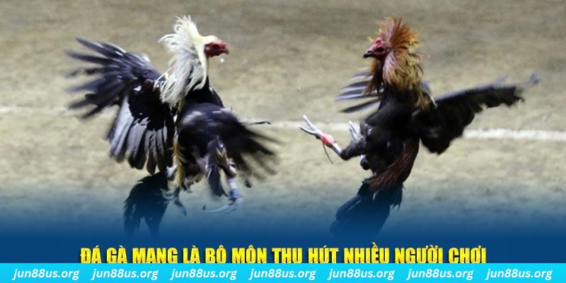 33win69 nổ hủ nghĩa là gì
