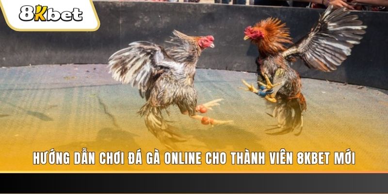 33win69 JILI Game Bài 3d