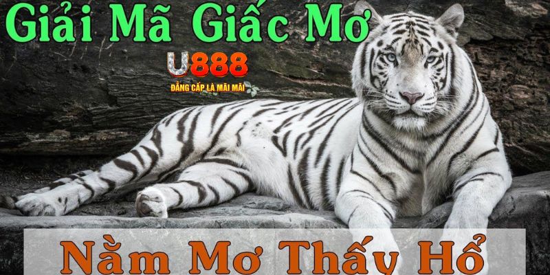 33win69 xổ số miền bắc xổ số miền bắc
