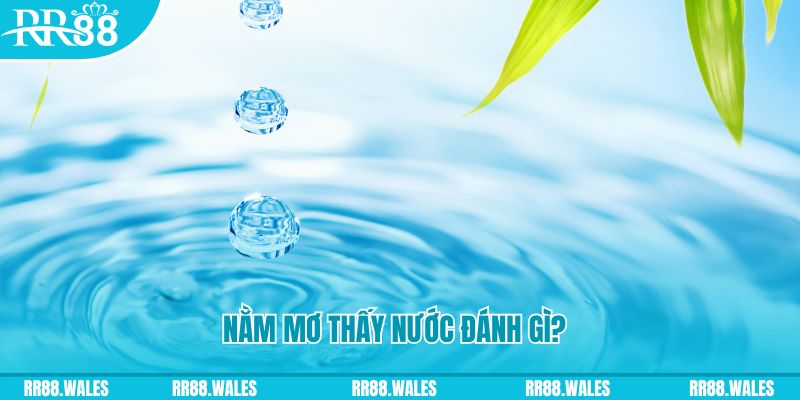 33win69 TCG Xổ Số
