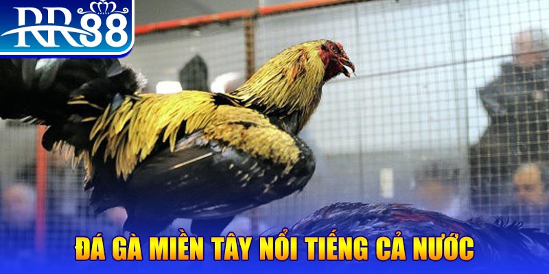 33win69 xổ số đại phát