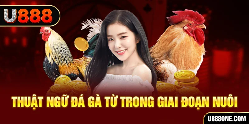 33win69 xổ số miền bắc 90 ngày