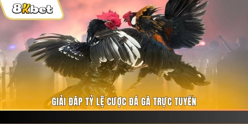 33win69 ga choi cau thanh