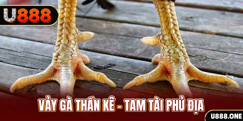 33win69 xổ số miền trung thứ hai hàng tuần