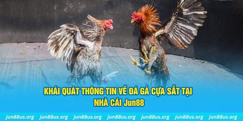 33win69 xổ số miền bắc thứ bảy hàng tuần