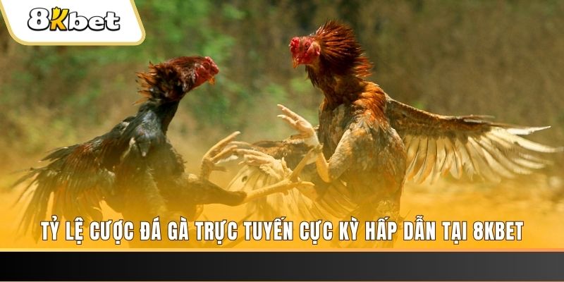 33win69 đăng nhập nổ hũ trực tuyến