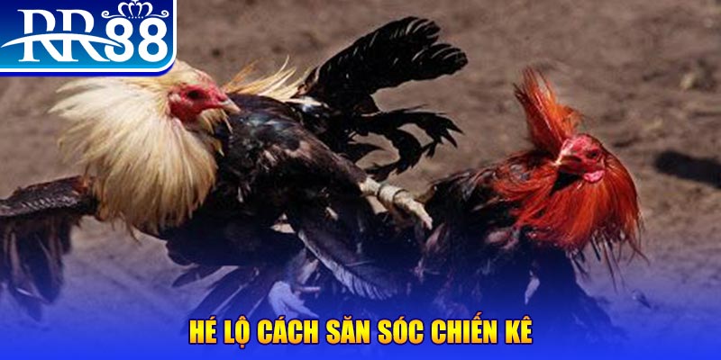 33win69 xổ số miền trung thứ tư