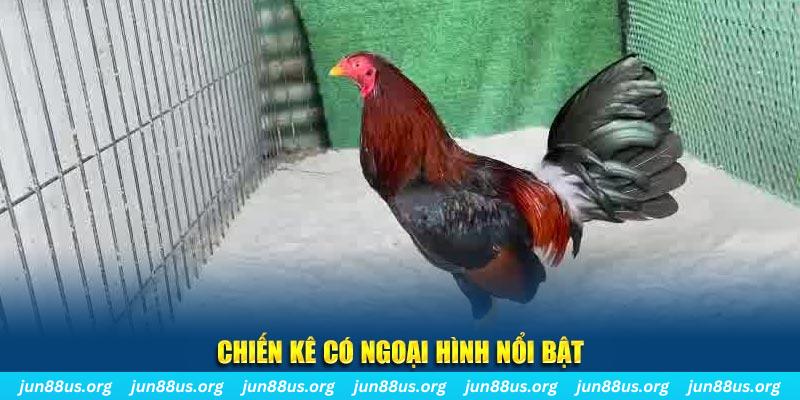 33win69 game bắn cá