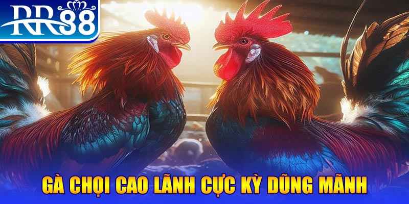 33win69 HB Điện Tử